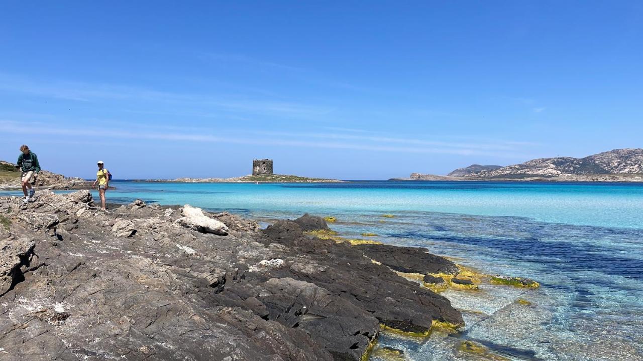 Villa I Pescatori Di Stelle-L12 Altair Stintino Exterior foto