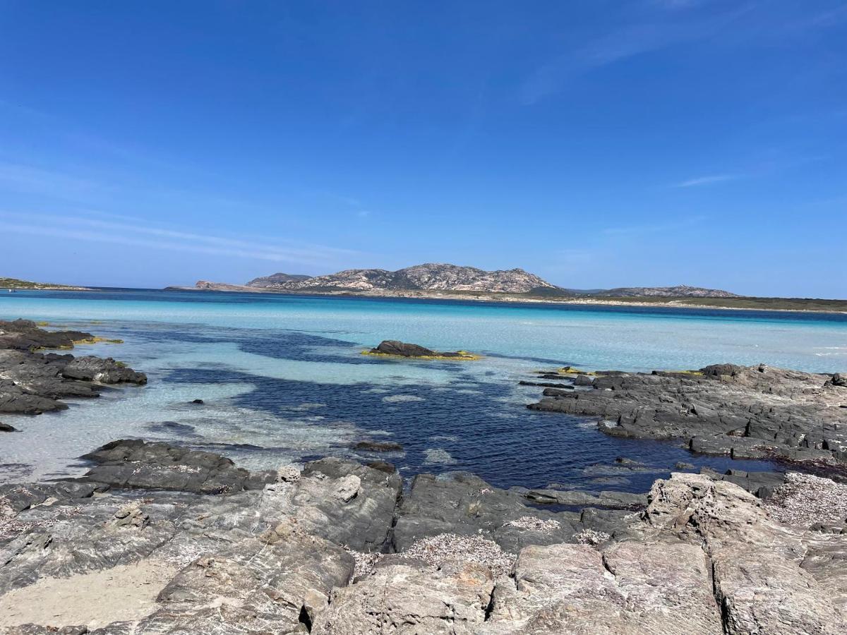Villa I Pescatori Di Stelle-L12 Altair Stintino Exterior foto