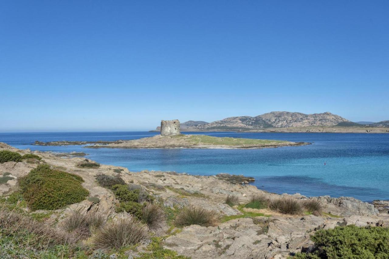 Villa I Pescatori Di Stelle-L12 Altair Stintino Exterior foto