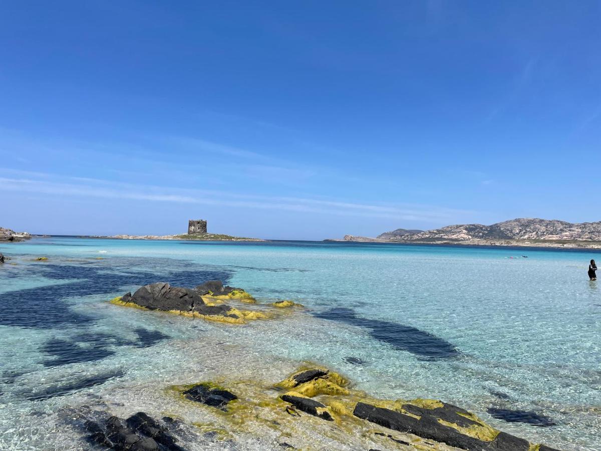 Villa I Pescatori Di Stelle-L12 Altair Stintino Exterior foto